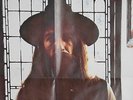 GEORGE HARRISON ALL THINGS MUST PASS GB  BOX, POSTER, ALL -1U EXCELLENT VINYL