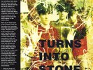Turns into Stone by The Stone Roses (Vinyl, Dec-2015, Modern Classics) LP