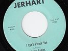 JIMMY ROBINS I Can't Please You (Jerhart 207) original 1966 Chicago EX HEAR