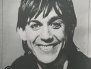 Iggy Pop Lust For Life HMV exclusive 180gm RED vinyl LP +download NEW/SEALED