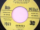 THE INTERIORS Echoes bw Love You Some More 45 WORTHY 1009 DOO-WOP RARE VG++