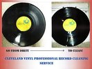 Professional Record Cleaning Service, Ultrasonic Machine Cleaned+VPI 10 records