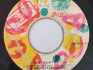 NEW ESTABLISHMENT - ROCK FORT ROCK - IRON SIDE ( ROCKSTEADY INST 7 )