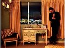 Flamingo [VINYL] Brandon Flowers Vinyl