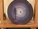 The Damned: Thanks For The Night, Nasty  7” Picture Disc 1984 Damned Records