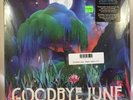 Goodbye June - Magic Valley LP NEW