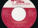 CWCP You Blew My Mind DAN RYAN Rare Illinois Modern Soul 45 Obscure HEAR