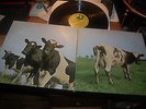 12388 Pink Floyd Atom Heart Mother Buy 5 LPs For £6 Post UK