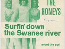 BEACH BOYS HONEYS Surfin Down The Swanee River RARE DENMARK 45 Brian Wilson HEAR