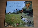 Dominik Eulberg,Flora-Fauna LP