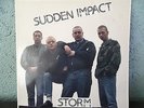 Sudden Impact Storm Rock-O-Rama Records LP  Punk OI Shipping 4$