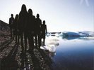 ARCHIVE - RESTRICTION NEW VINYL RECORD
