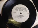 THE BEATLES Across The Universe Promo World Wildlife SQ3-MONO VERSION