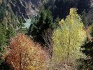 POLE - WALD NEW VINYL