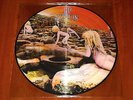 LED ZEPPELIN HOUSES OF THE HOLY LP *RARE* EU PICTURE DISC VINYL LIMITED EDITION