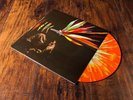 RARE Polyenso 'One Big Particular Loop' Double Vinyl LP Set (Both Colorways)