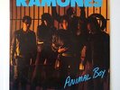 RAMONES 1986 ANIMAL BOY vinyl LP blondie thunders richard hell television mc5