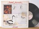 ?? LP - BERT JANSCH - Avocet - Charisma UK Class 6 - 1979 - Vinyl in Near Mint