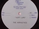 Unreleased 60's Garage Band Acetate Record The Hipnotics 