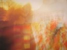 FOUR TET - Pause - Vinyl (LP)