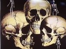 SKULL SNAPS - Skull Snaps - Vinyl (gatefold LP)
