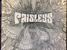 The Paisleys - Cosmic Mind At Play ORIG Vinyl LP Minneapolis Garage/Psych