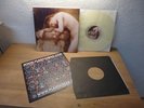 FALLEN ( Clear vinyl ) Mayhem - gorgoroth - Mint LP MEGA RAR