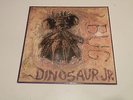 DINOSAUR JR. - BUG - LP 1988 SST RECORDS MADE IN U.S.A. - EX++/EX- SST 216