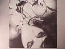 VOID VISION - Sub Rosa - Vinyl (LP)