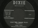 Indiana Primitive Country 45   Janet Terry   Dixie   Listen