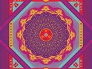 ** Grateful Dead - Cornell 5 8 77  5 LP - Box Set w/ Booklet NEW + SEALED 1977