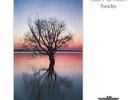 Robert Schröder - Paradise (LP, Album) Vinyl Schallplatte - 132902