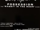 SARAH MCLACHLAN ?- Possession (Rabbit In The Moon Mixes) (12