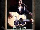 Elvis PresIey - The Elvis Files Vol.5 1969-1970 E. Lorentzen Book - New & Sealed