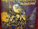 Iron Maiden Life After Death 12