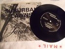 1980 Suburban Lawns Janitor  / Protection   7