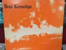 DEAD KENNEDYS Fresh Fruit For Rotting Vegetables 1st Poster Ramones Misfits Punk