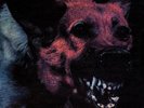 Under Color of Official Right [VINYL] Protomartyr Vinyl