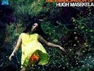 LP Hugh Masekela The Emancipation Of Hugh Masekela COVER VARIATION UNI Recor
