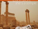 Space Debris - She´s A Temple Doppel LP  Mega Rar Limited Vinyl Edition
