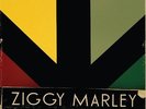 Ziggy Marley - Wild and Free