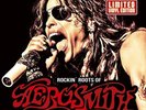 Aerosmith - Rockin Roots Of Aerosmith: A Journey Through The Inner  VINYL LP NEW