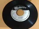 Majesterian - Youthman  / Version    Rare 80's Roots Reggae