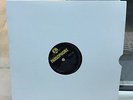 the Beatles Please Please Me LP.No Cover