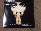 2Pac R U Still Down Vinyl