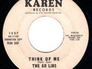 AD LIBS - THINK OF ME - KAREN DEMO