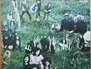SUPER GRUPOS - RARE SPAIN LP 1970 LED ZEPPELIN MC5 SCREMAING LORD SUTCH CACTUS
