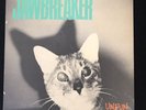 Jawbreaker - Unfun LP, Rare 1st Pressing 1/800 on Blue Vinyl - Shredder Records