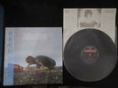 Julian Cope Fried Japan Vinyl LP with OBI Teardrop Explodes Echo & The Bunnymen