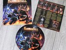 HammerFall - Crimson Thunder - PICTURE Vinyl LP